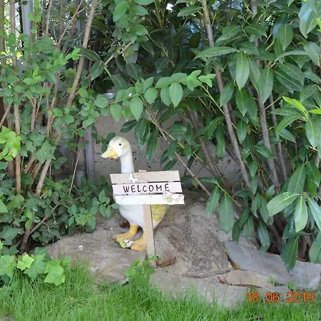 Guest house Maris 2*