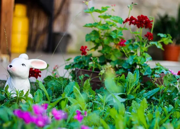 Maris Guest house Obzor