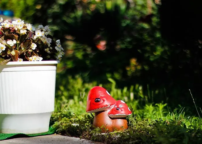 Guest house Maris 2*