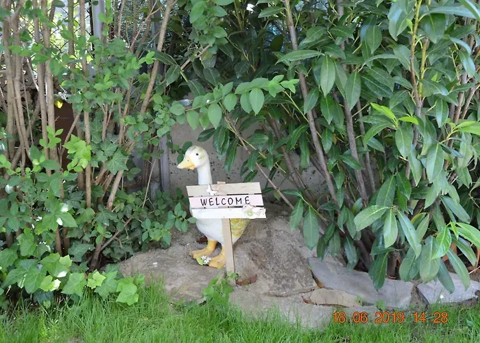 Guest house Maris 2*